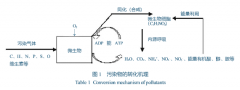 炼胶废气处理系统设计